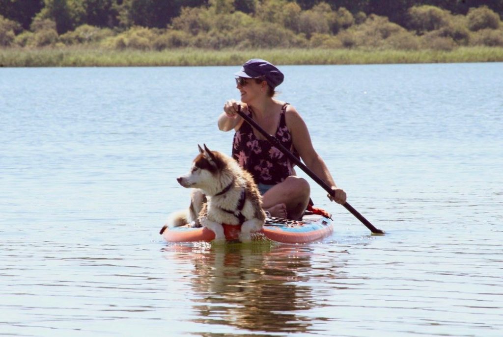Frau mit süßem Hund sitzt auf SUP. Stand Up Paddling mit Hunden