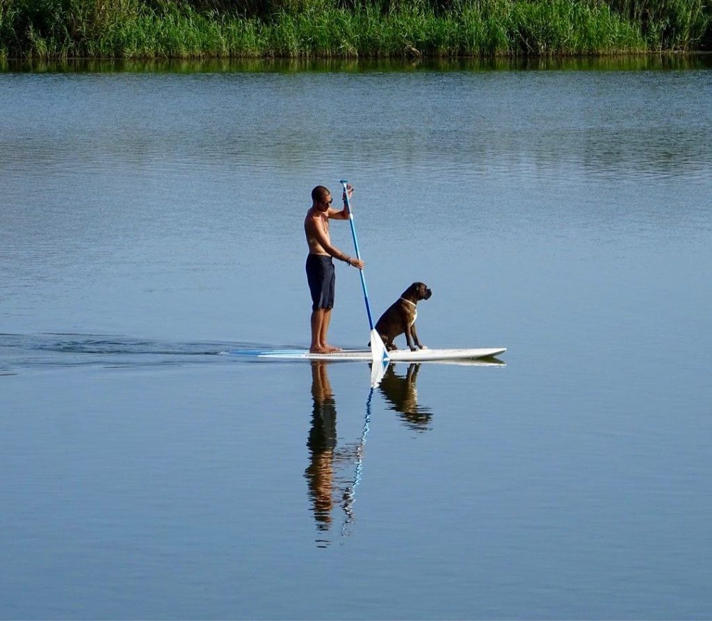 Stan Up Paddling mit Hund auf SUP Board paddeln